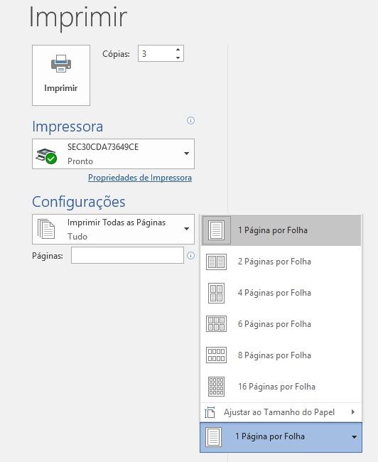 ProceSso de impressão do documento.