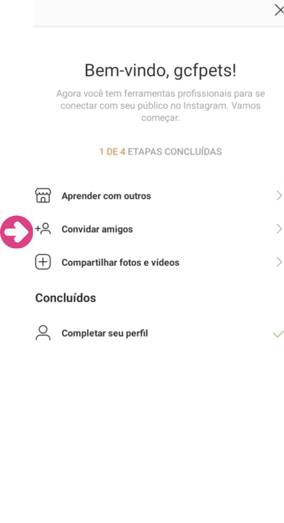 imagem 9 - como completar a bio do seu perfil do Instagram