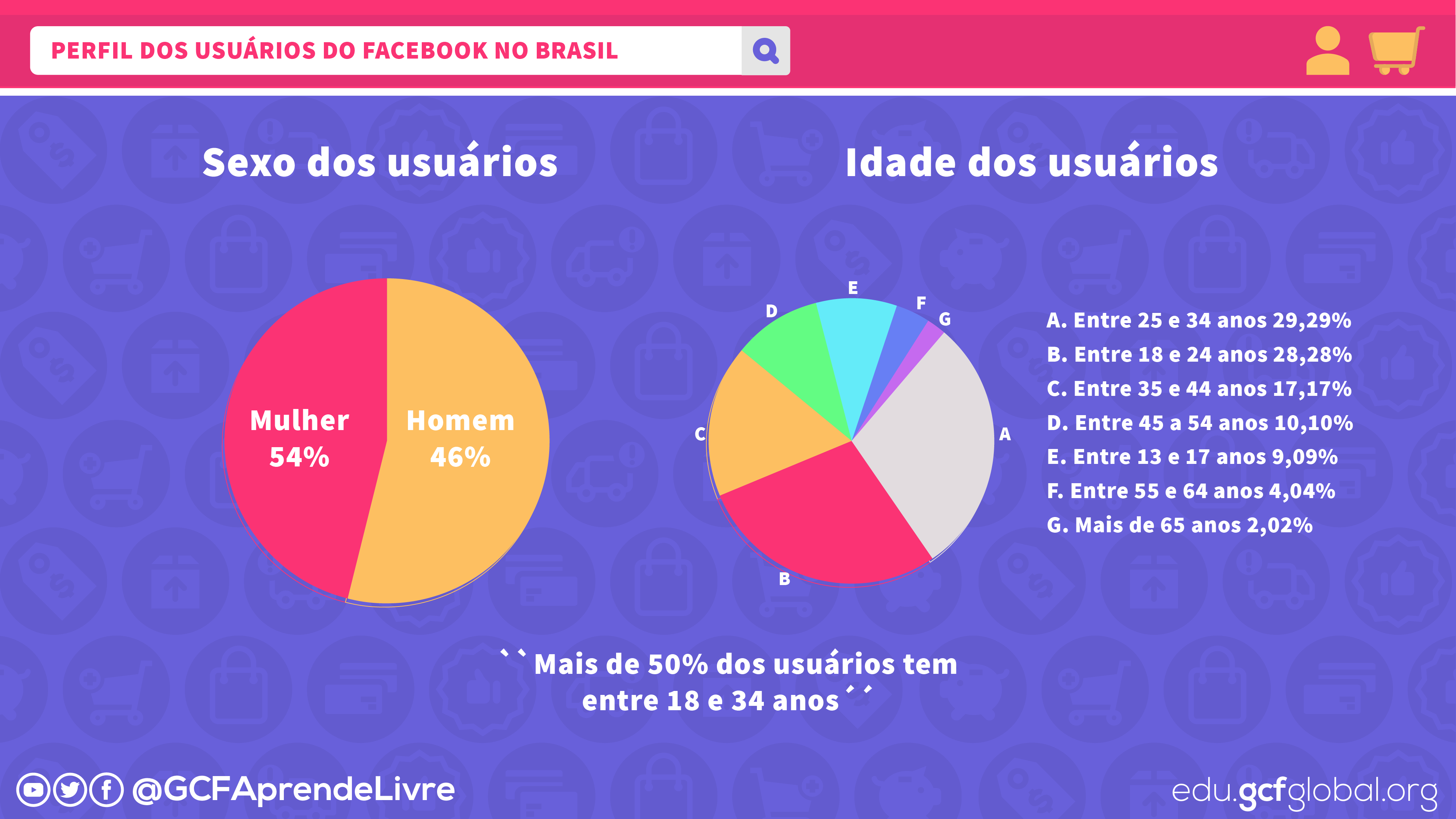 imagem1 perfil dos usuários do Facebook no Brasil